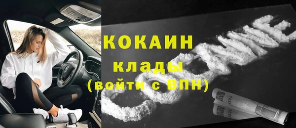 ешки Арсеньев