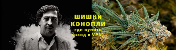 гидропоника Алзамай