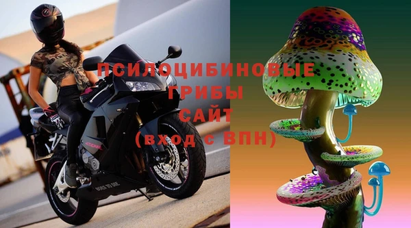 ешки Арсеньев