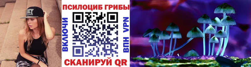 закладки  Билибино  Галлюциногенные грибы GOLDEN TEACHER 